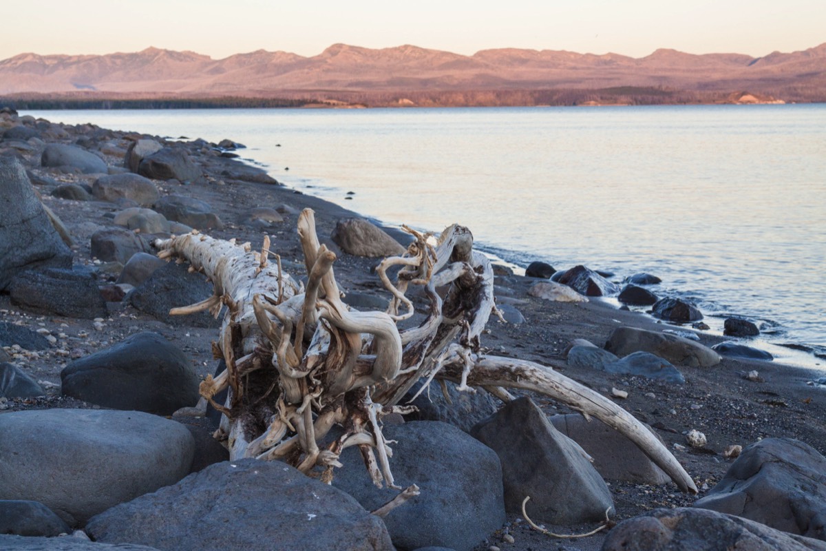 Evening (!) light on Yellowstone Lake