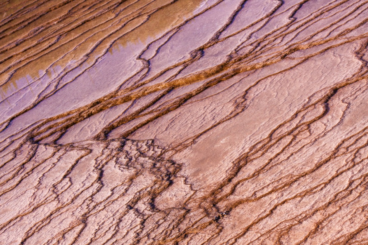 Midway Geyser Basin - terraces in brown