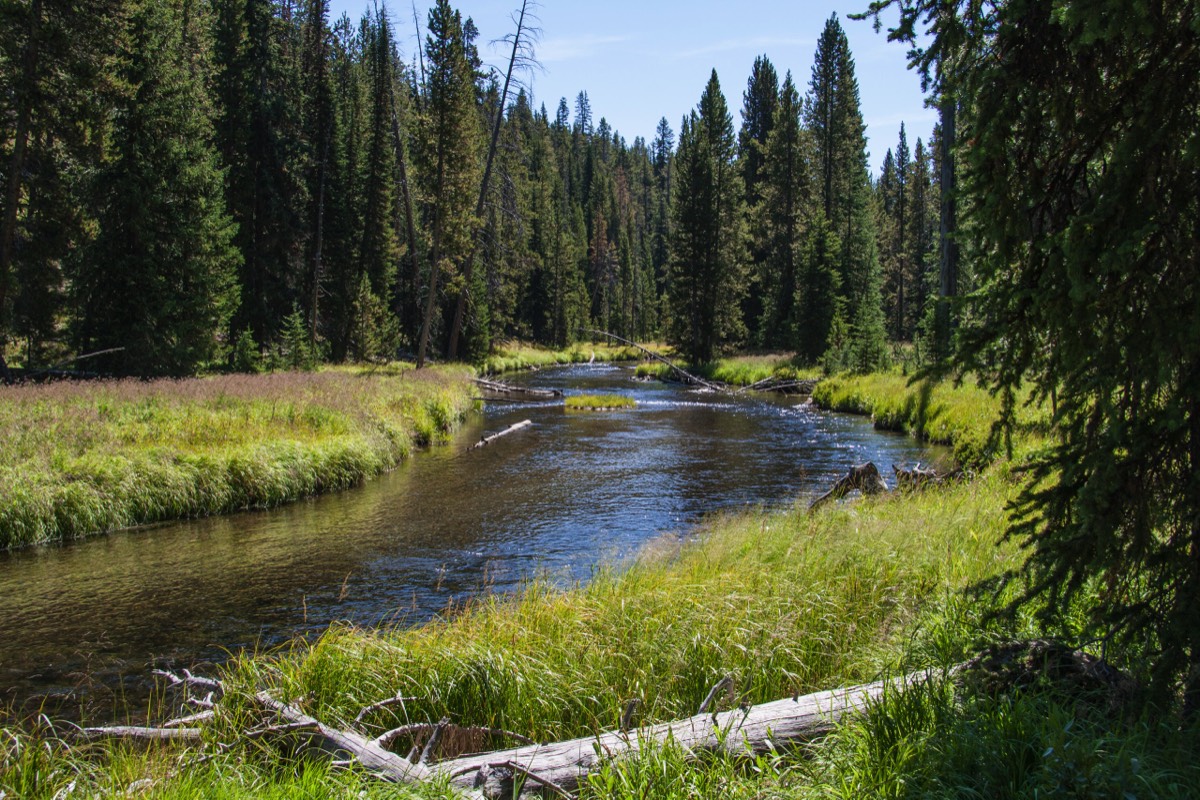 Lone Star Geyser Trail