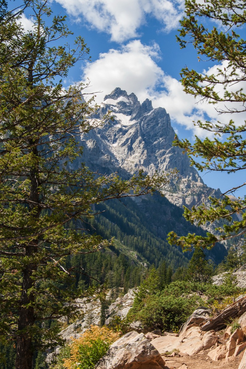 Jenny Lake Trail