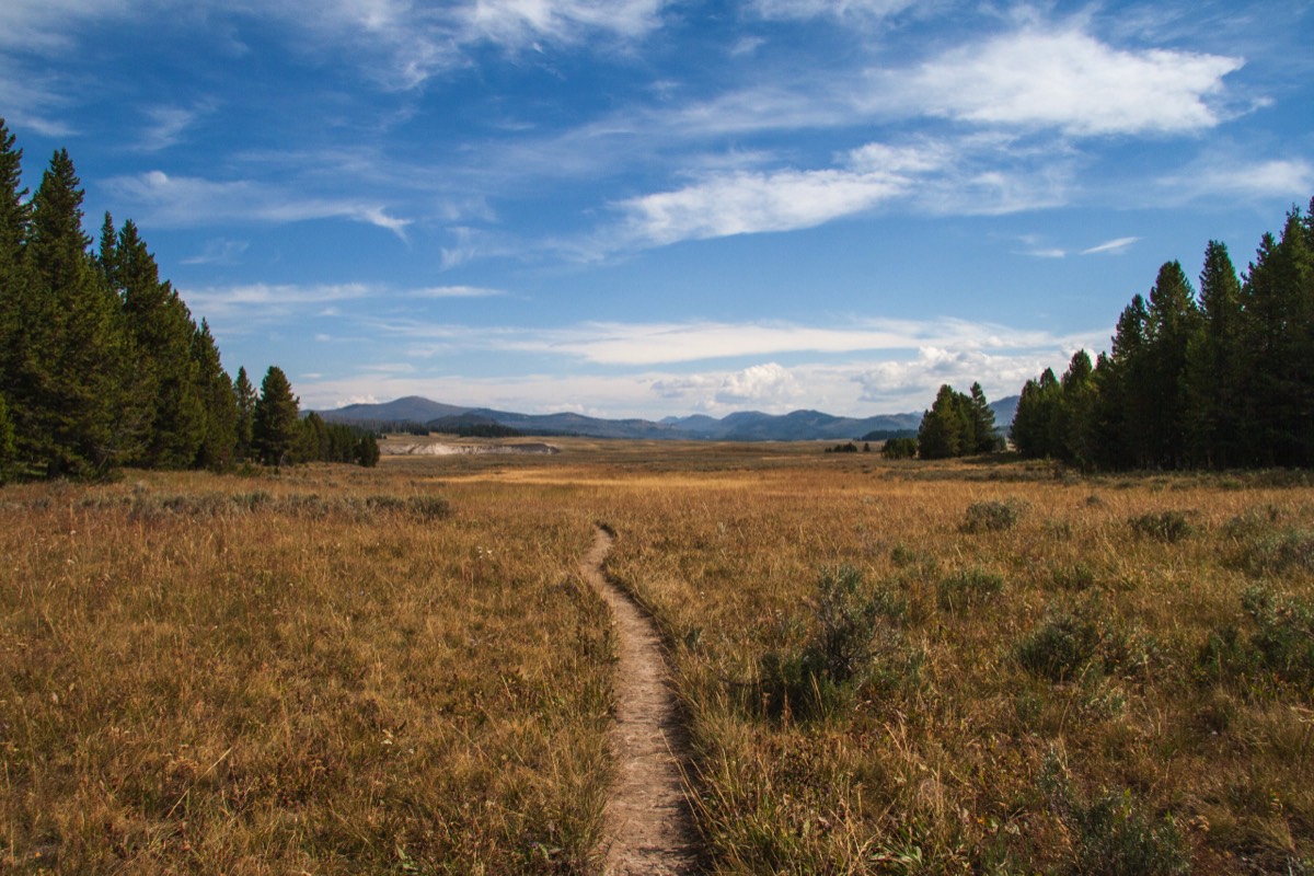Pelican Valley Trail