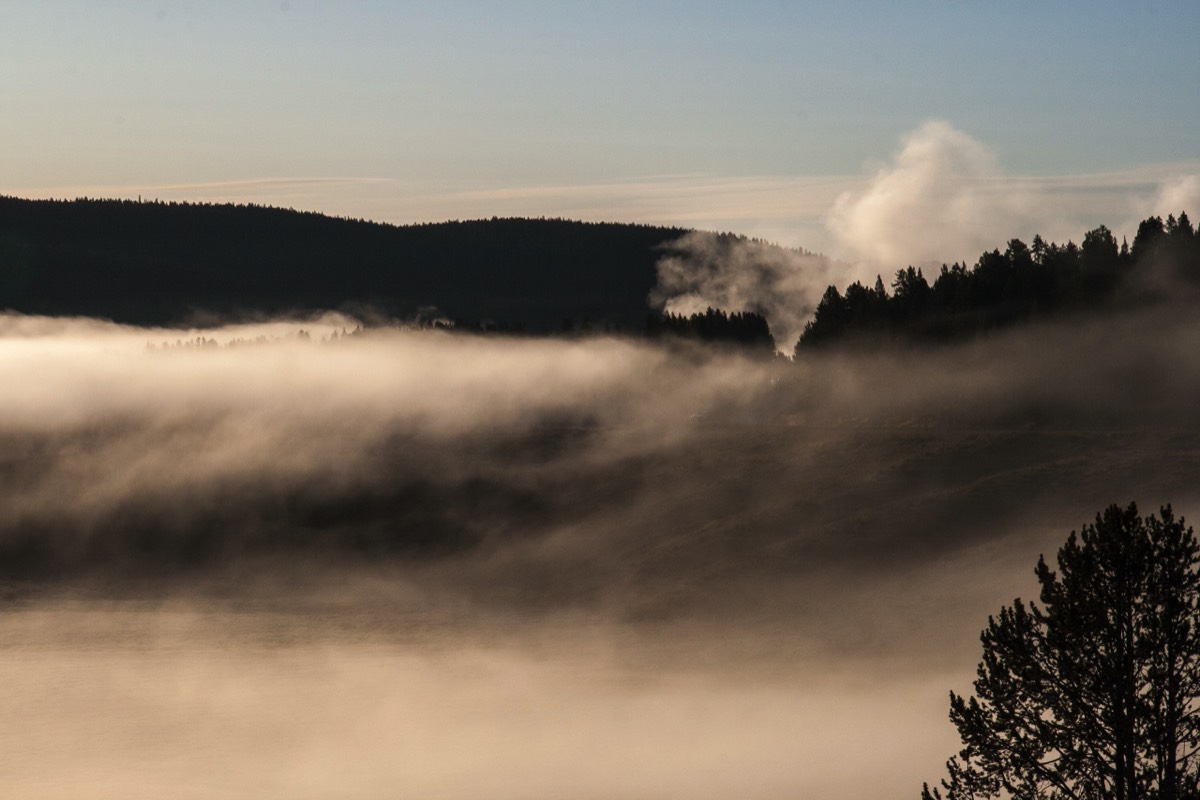 Yellowstone River in the morning mist