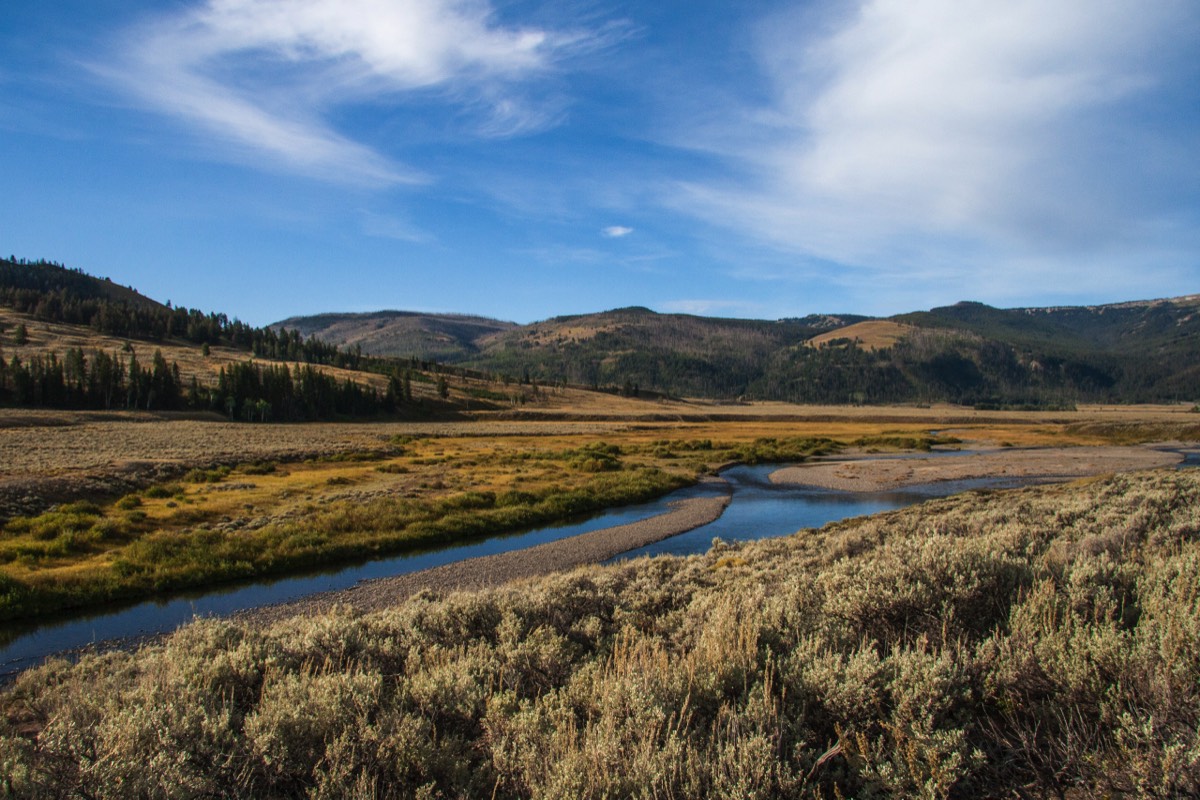 Soda Butte Trail - Lamar Valley