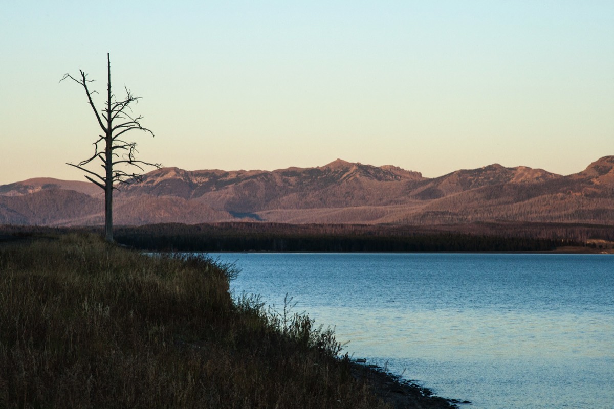 Evening light on Yellowstone Lake