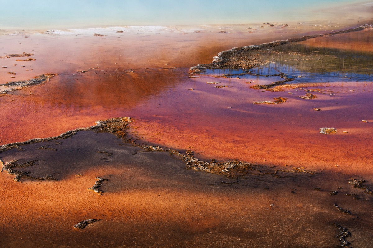 Midway Geyser Basin - symphony of colours