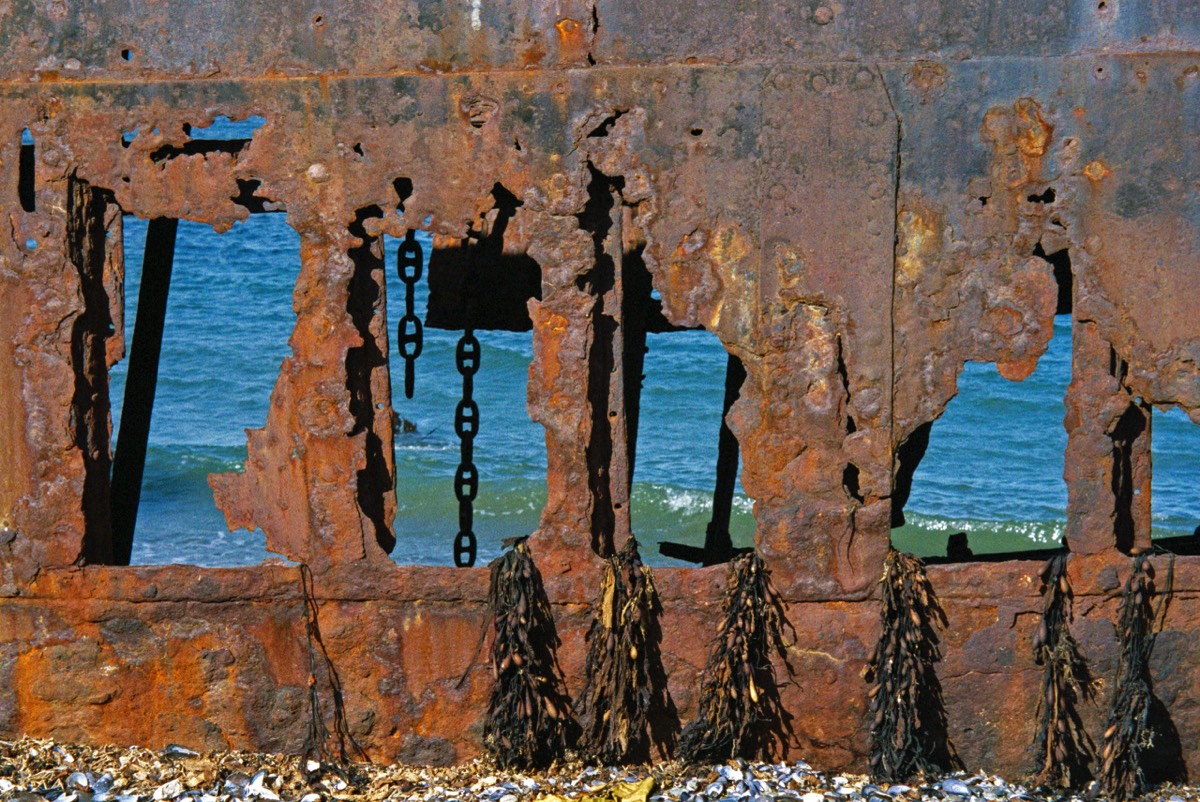 There is beauty in decay. Who knows how long it's been here?