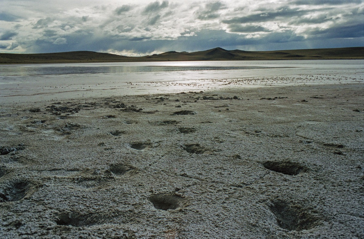 Laguna Ana on the border between Chile and Argentina