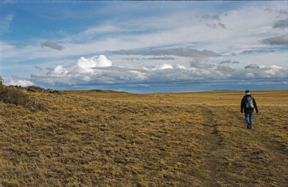 Traversing the yellow Pampas
