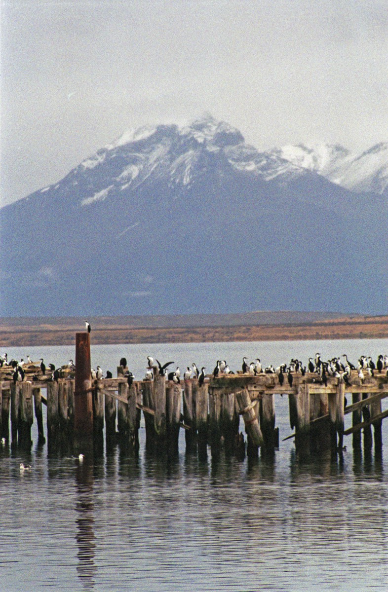 Bay at Puerto Natales