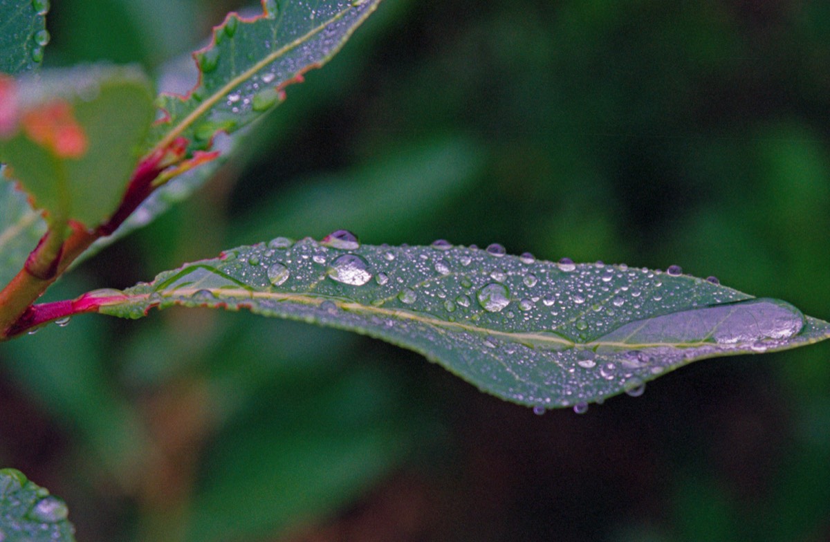Very moist… you could call it wet