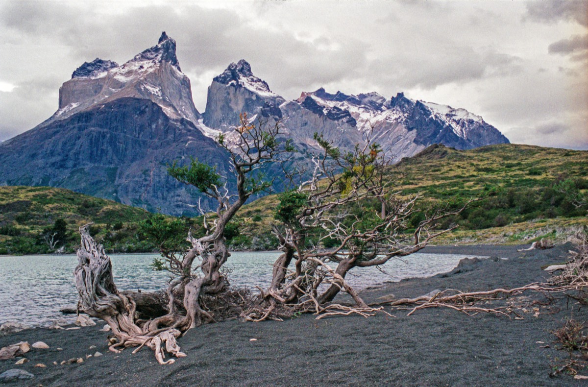 The black beach of Lago Nordenskold with the Cuernos