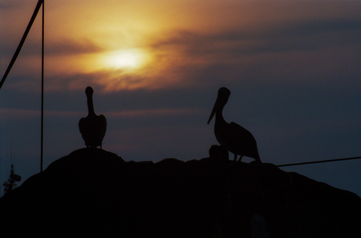 Sunset in Arica harbor