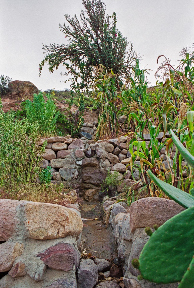 Old irrigation channels still used today in vegetable gardens
