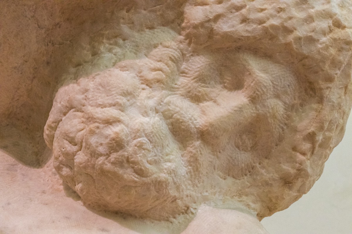 Michelangelo: one of the 'slaves'
