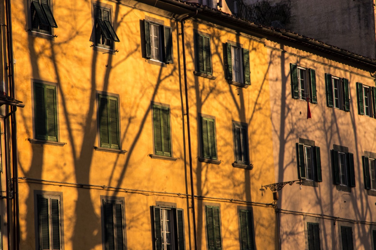 Late afternoon shadows