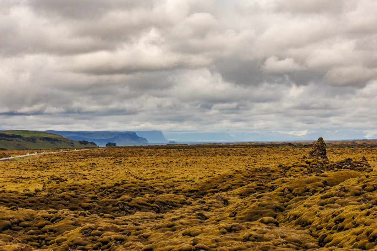 Moss covered Eldraun lava field