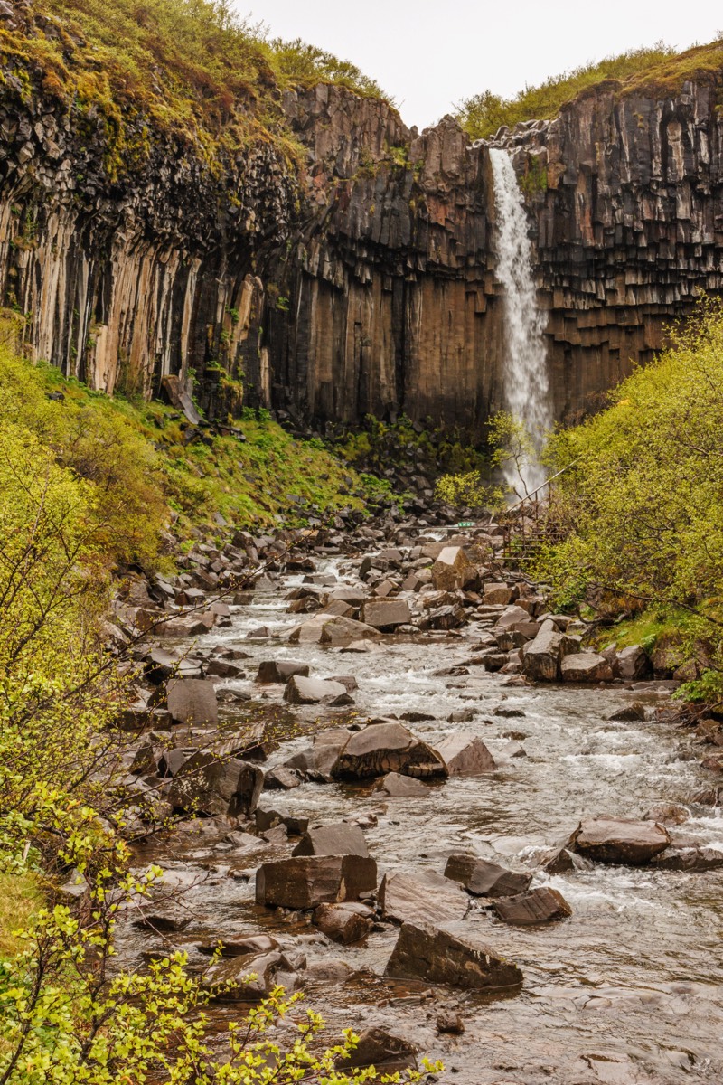 Skaftafell - Svartifoss : basaltic rocks, waterfall, a pattern emerges