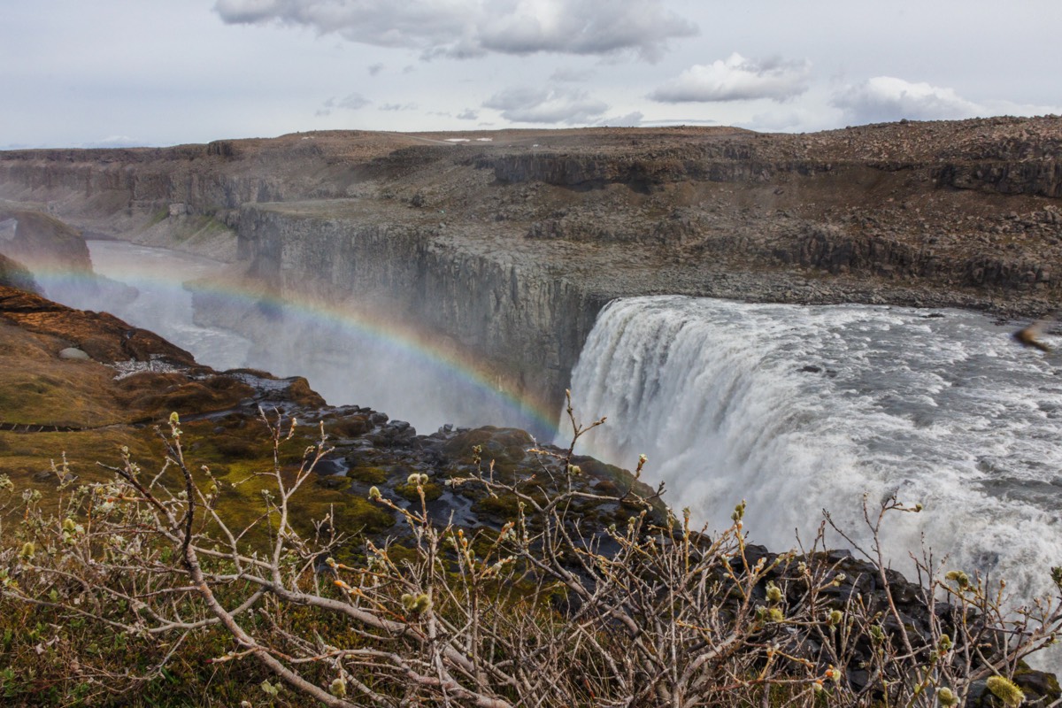 There must be a pot of gold at Dettifoss