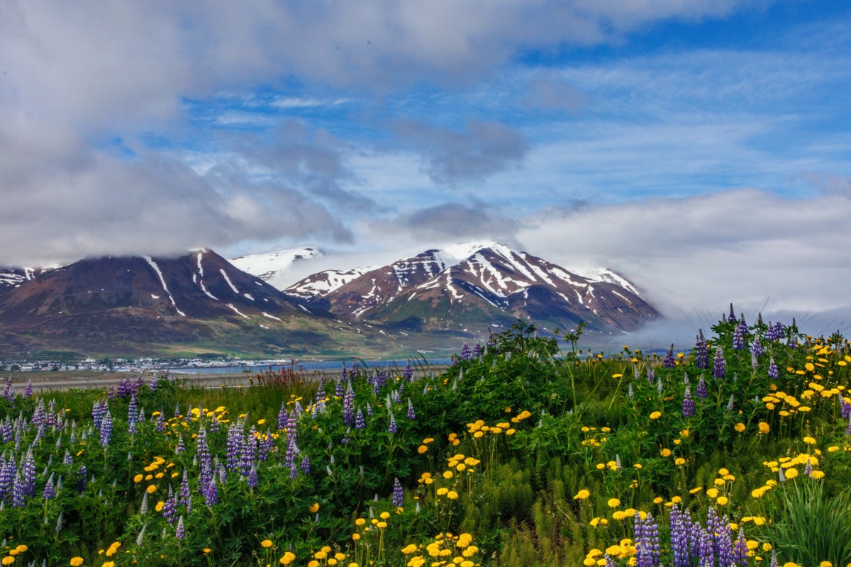 Iceland can look stupendous!