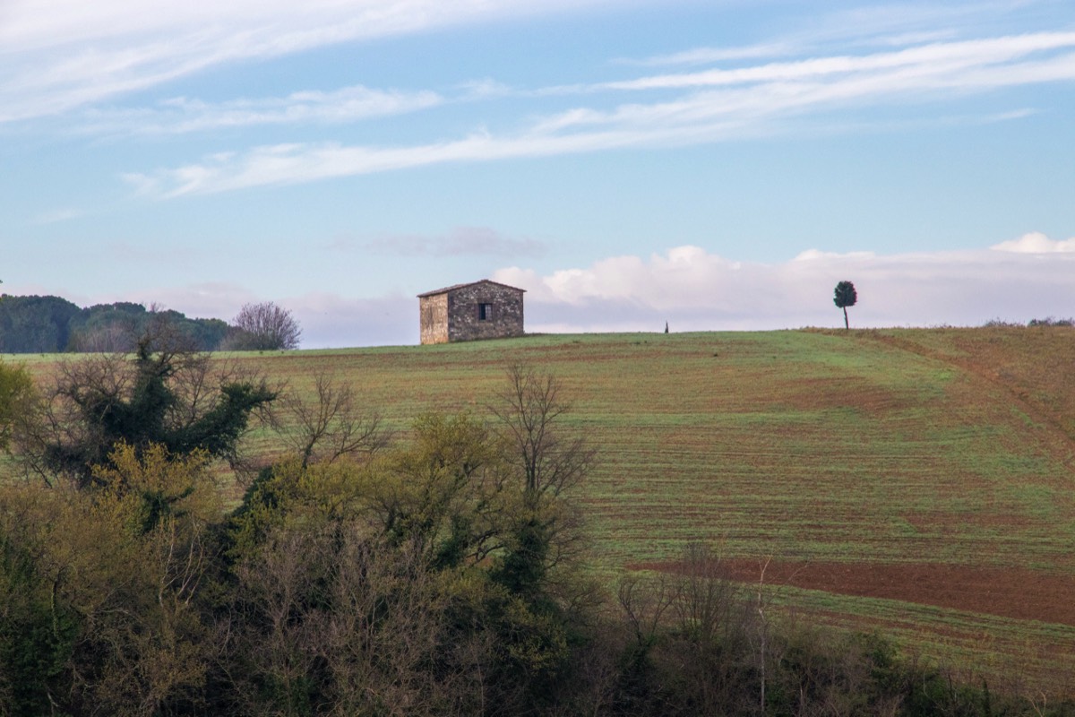 The lone house and the lone tree
