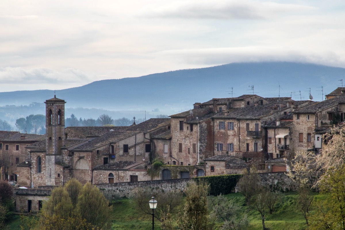 View on Colle di Val d’Elsa