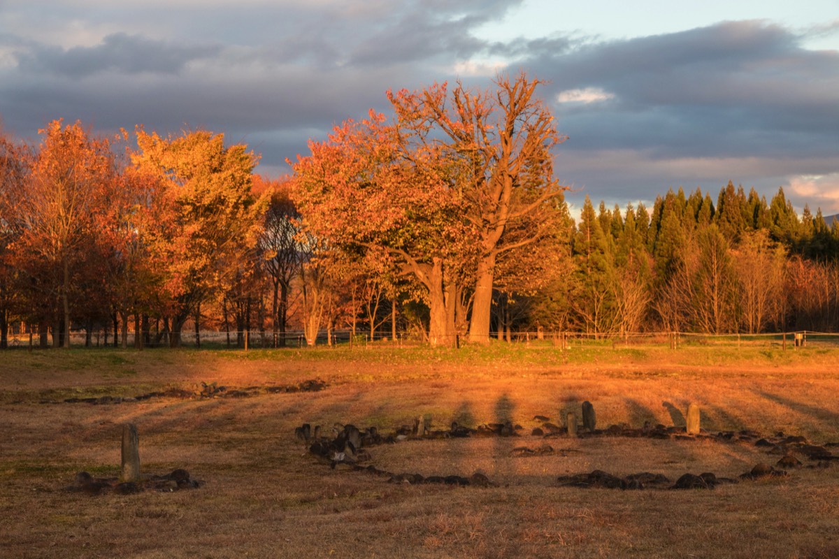 Oyu circle in people shadows