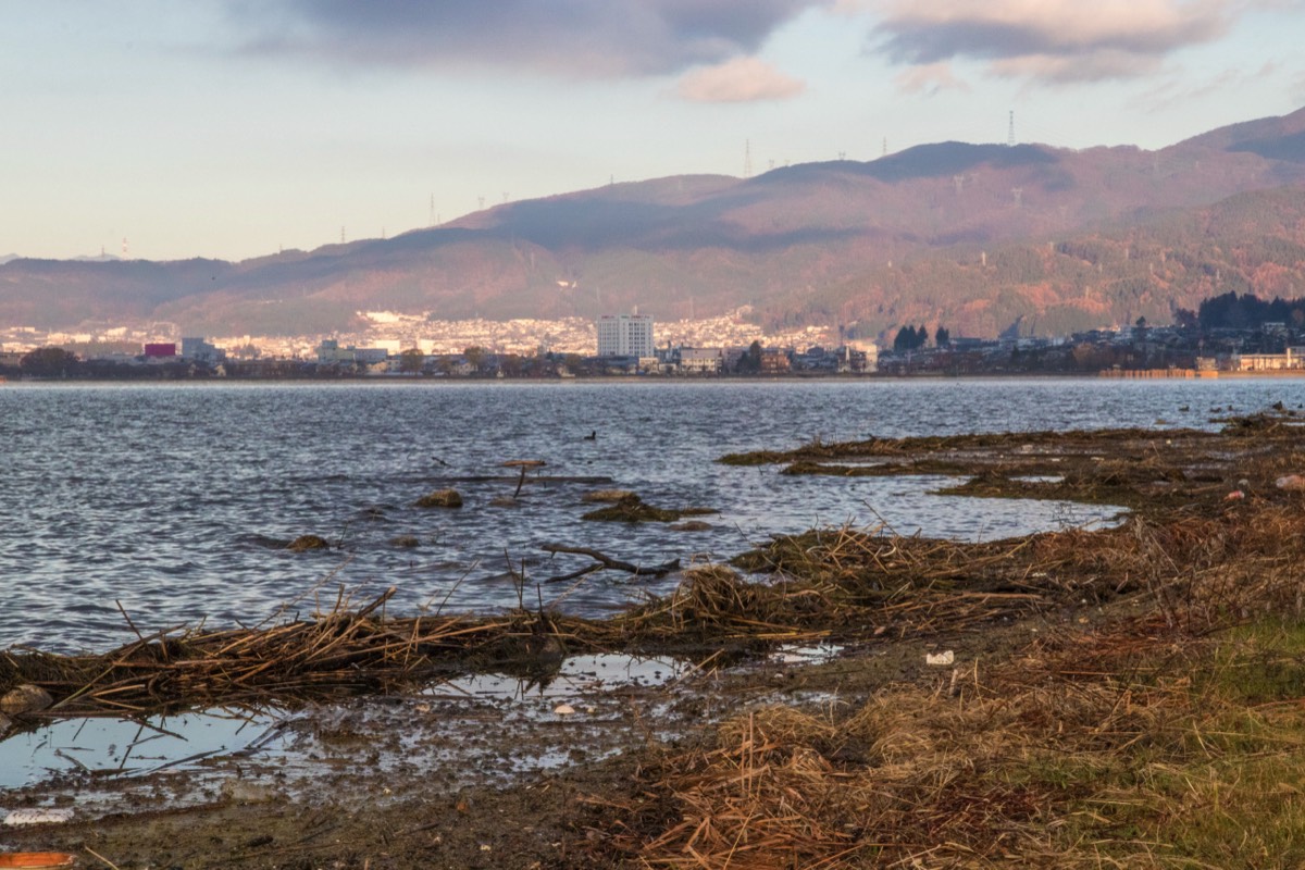 Early morning view of Suwa lake