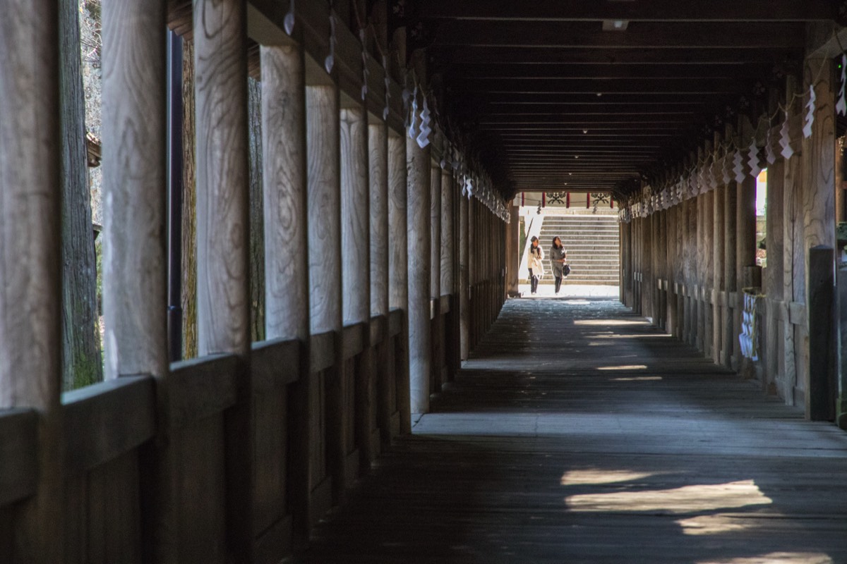 Walkways to explore