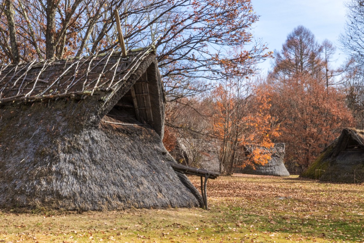Togariishi Jomon site