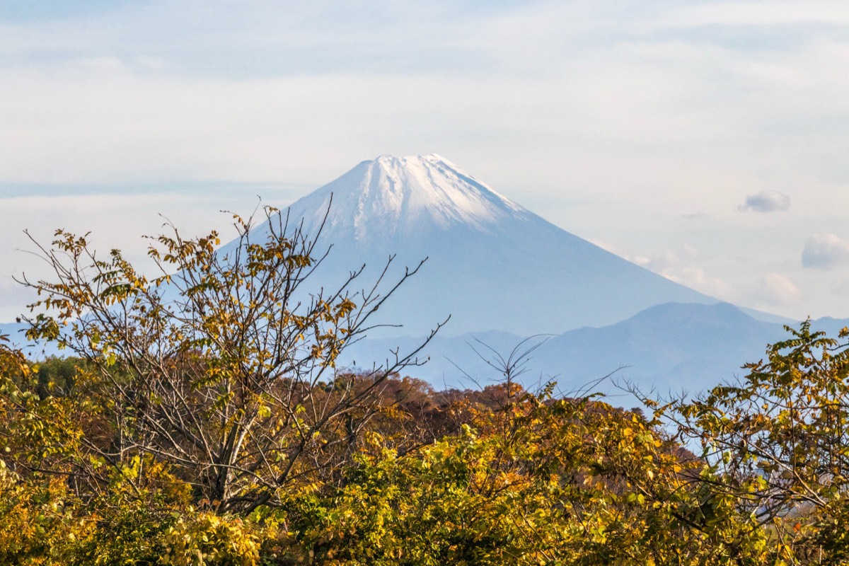 Fuji-san