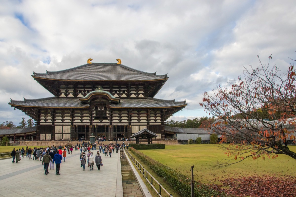 Giant Todaiji Temple