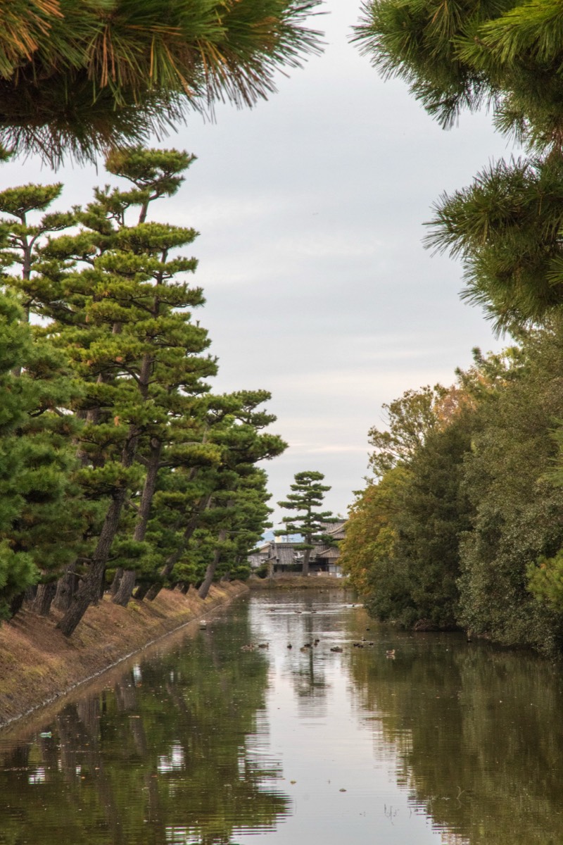 Kofun moat view