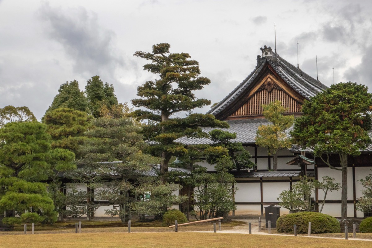 Another garden view at Nijojo Palace
