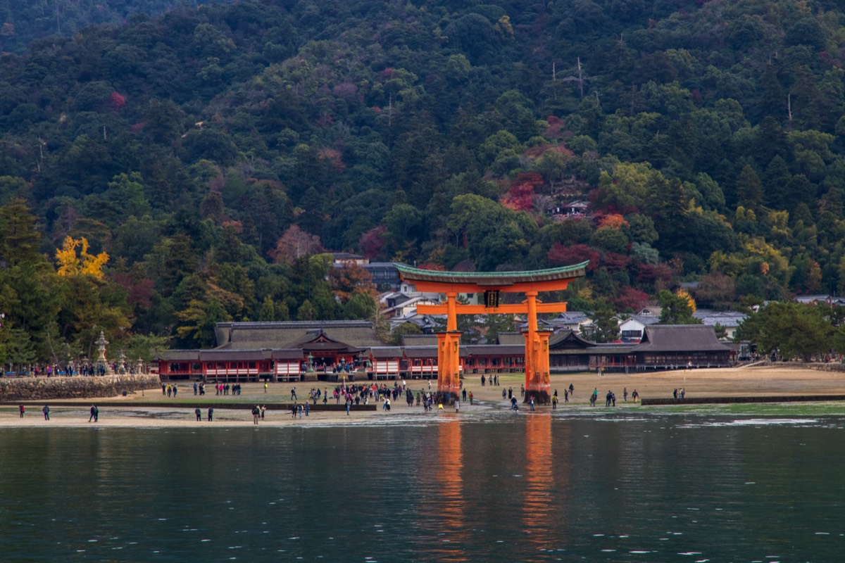 First view of the (not yet) floating torii 