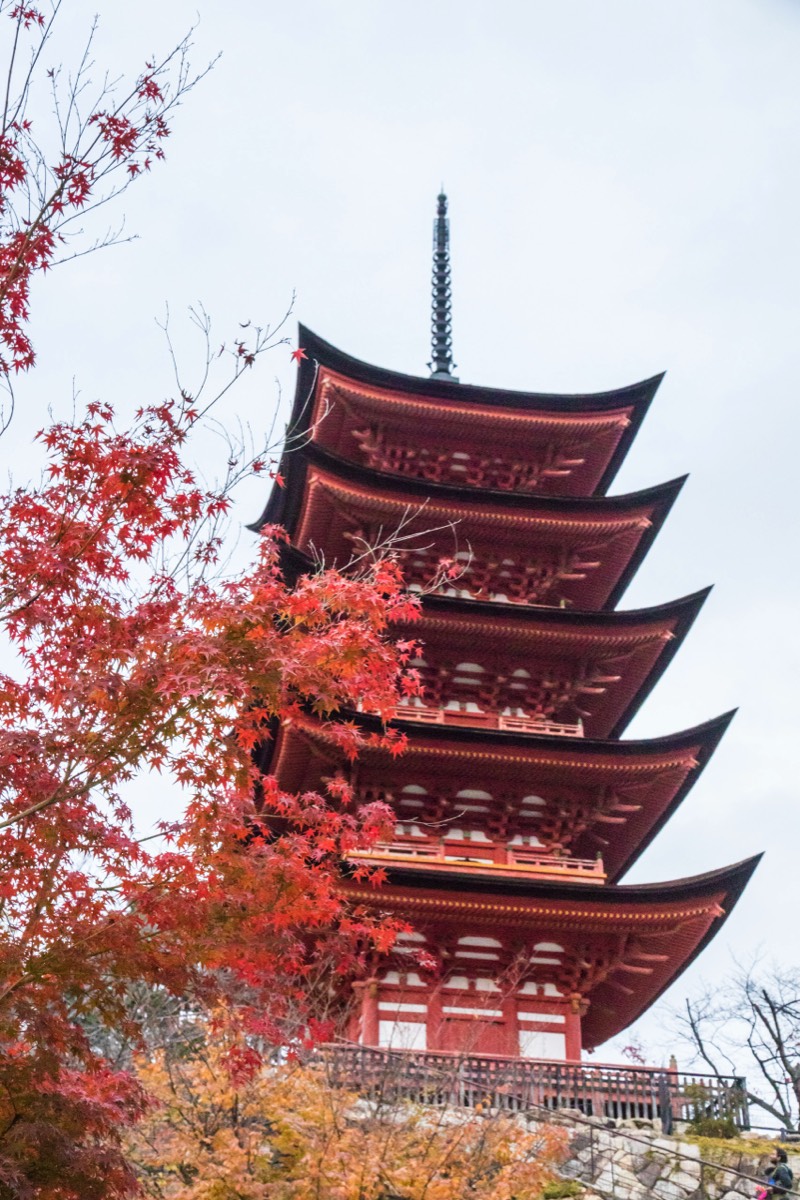 Temple view