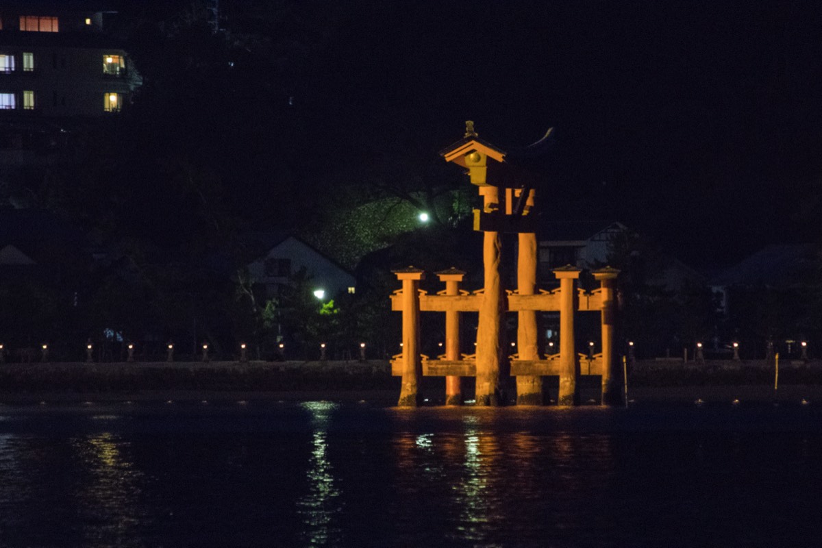 Torii gate after dark