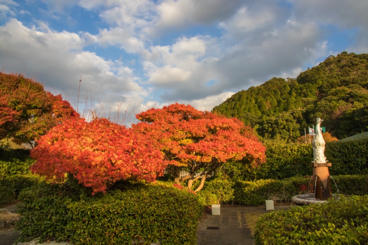 Small, delightful garden at Kyushu Ceramics Museum