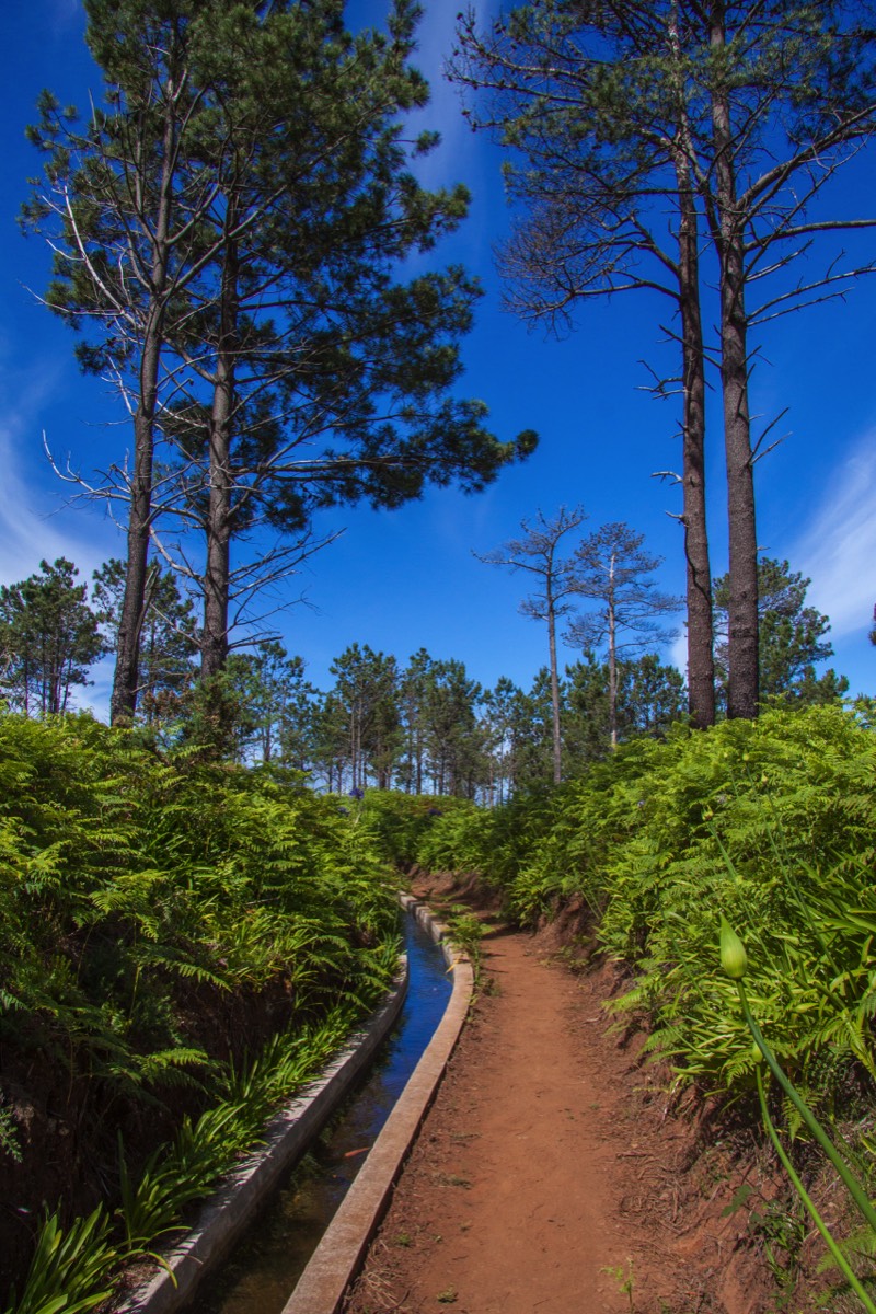 Levada Cabo