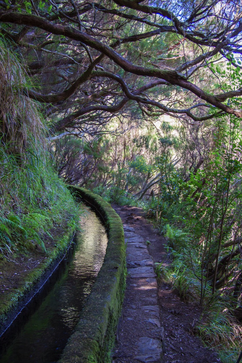 Levada 25 Fontes - no leeway