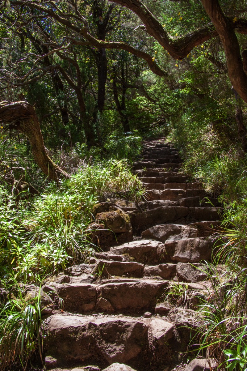 What could be called stairs