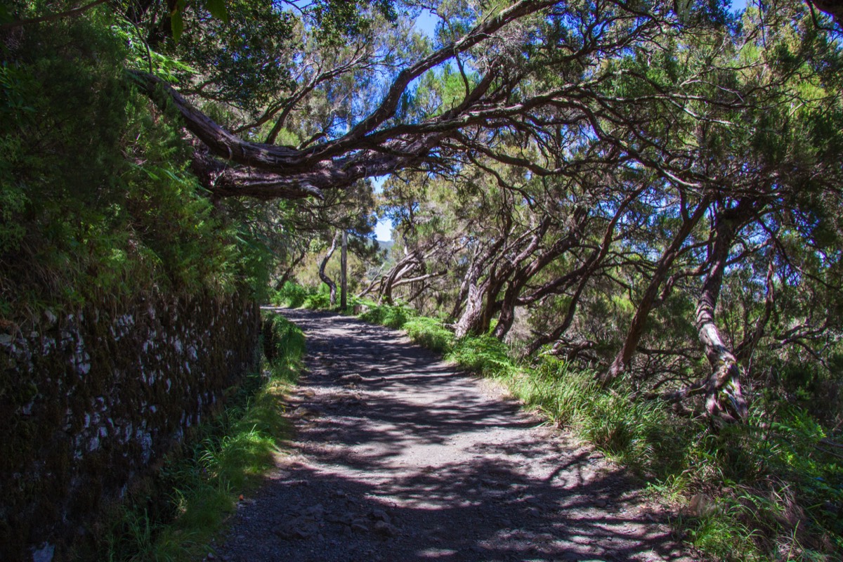 Gentle strolling path