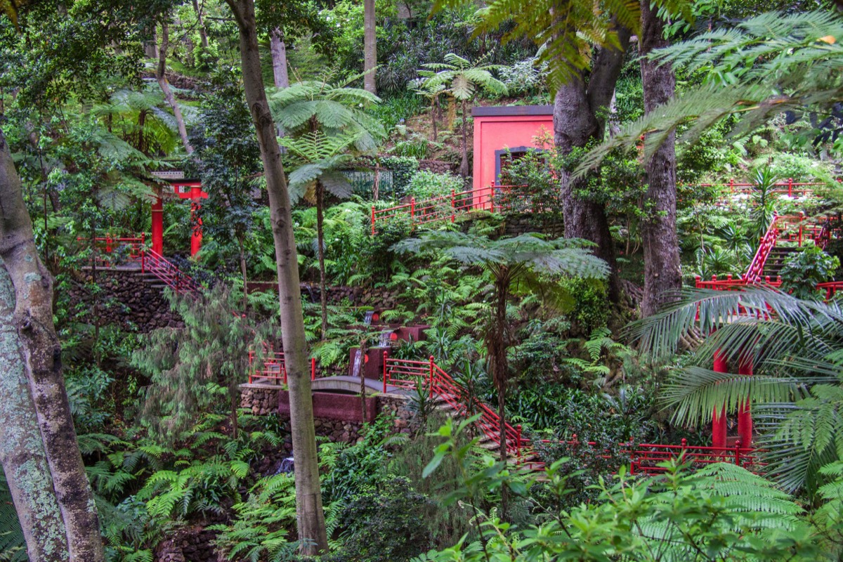 Japanese garden