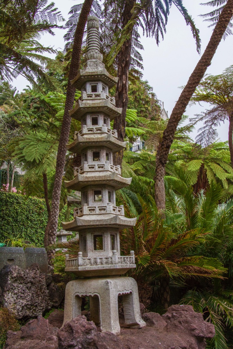 Japanese garden