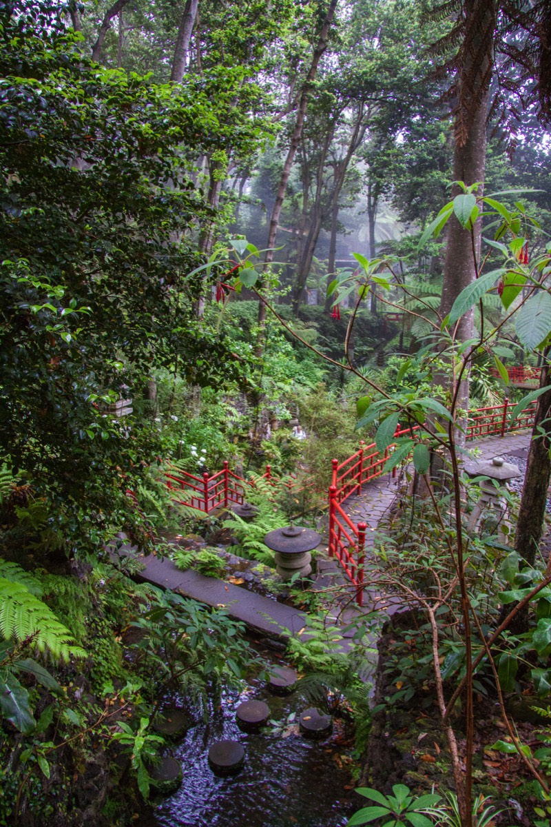 Japanese garden