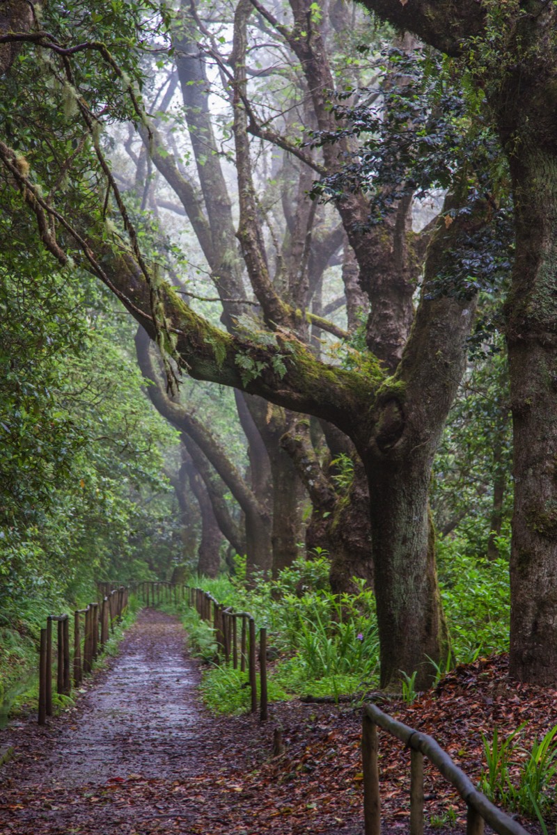 Walk to Queimadas