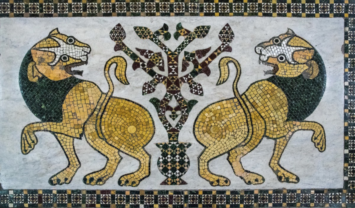 Two lions on the floor