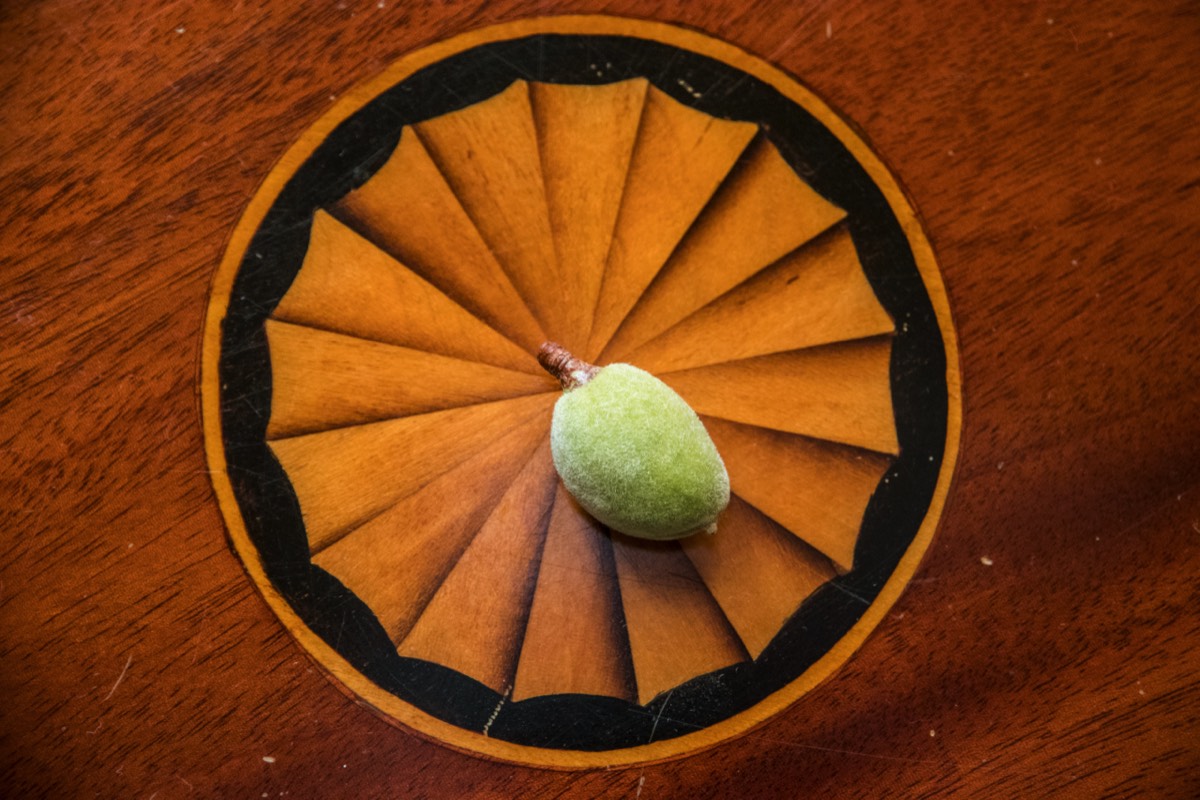Young almond