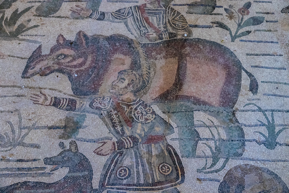 Depiction of a rhino without ever having seen one