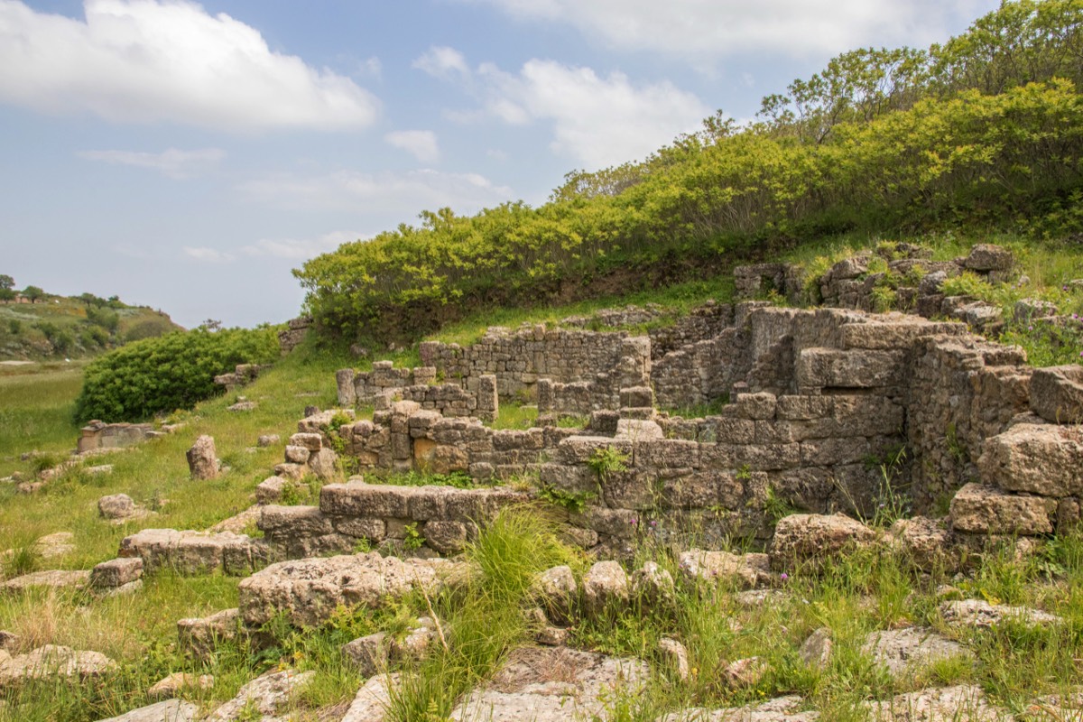 Ruins reclaimed by Nature