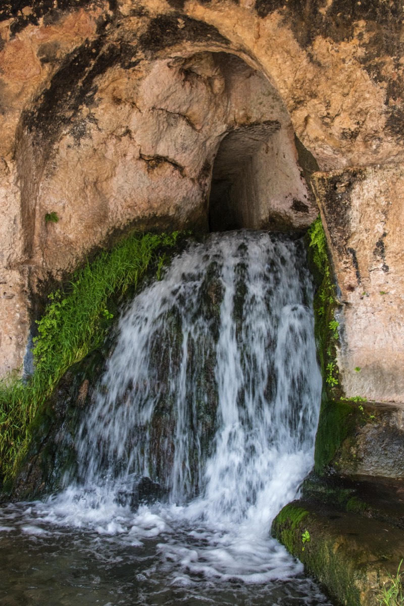 Spring at Neapolis archeological park
